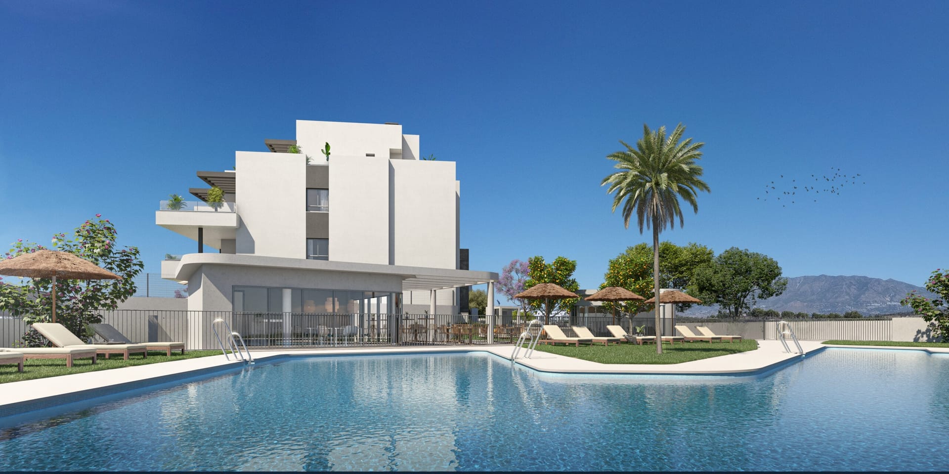 The adults’ pool, with sun loungers on the lawn, a palm and the mountains behind. Vitta Marina, El Chaparral, Mijas.