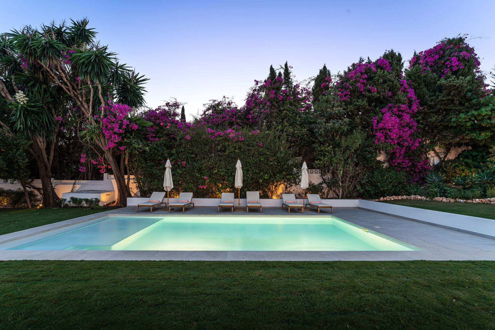 The swimming pool at dusk, with sun loungers, parasols and bougainvillea along the back of the garden.